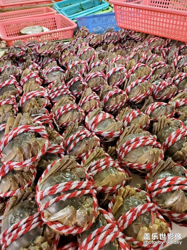 行萬里路，不如來萬頃沙