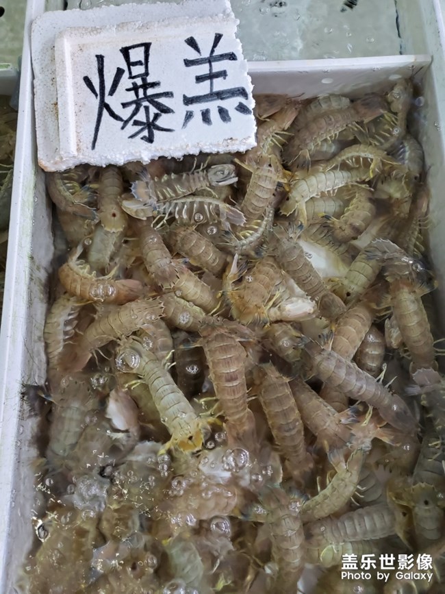 行萬里路，不如來萬頃沙