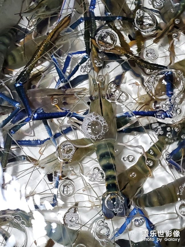 行萬里路，不如來萬頃沙