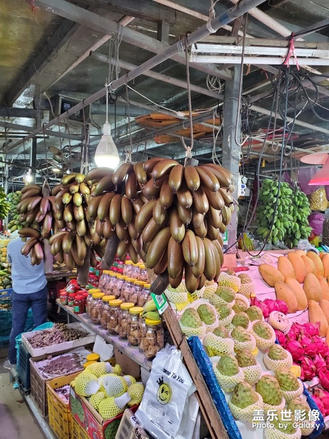 行萬里路，不如來萬頃沙