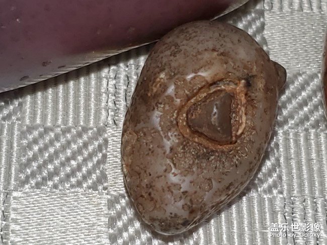 樸石，清茶，最可的時(shí)光!