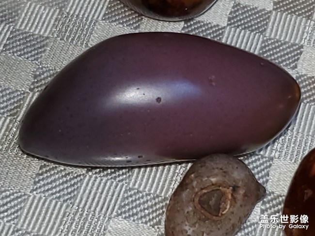 樸石，清茶，最可的時(shí)光!