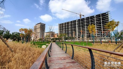 【精彩翻倍】閑來隨拍