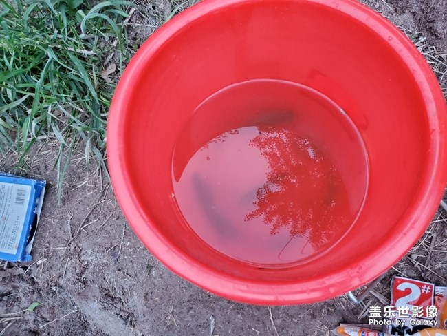 釣魚(yú)人的一下午