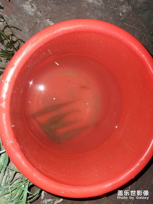 釣魚(yú)人的一下午