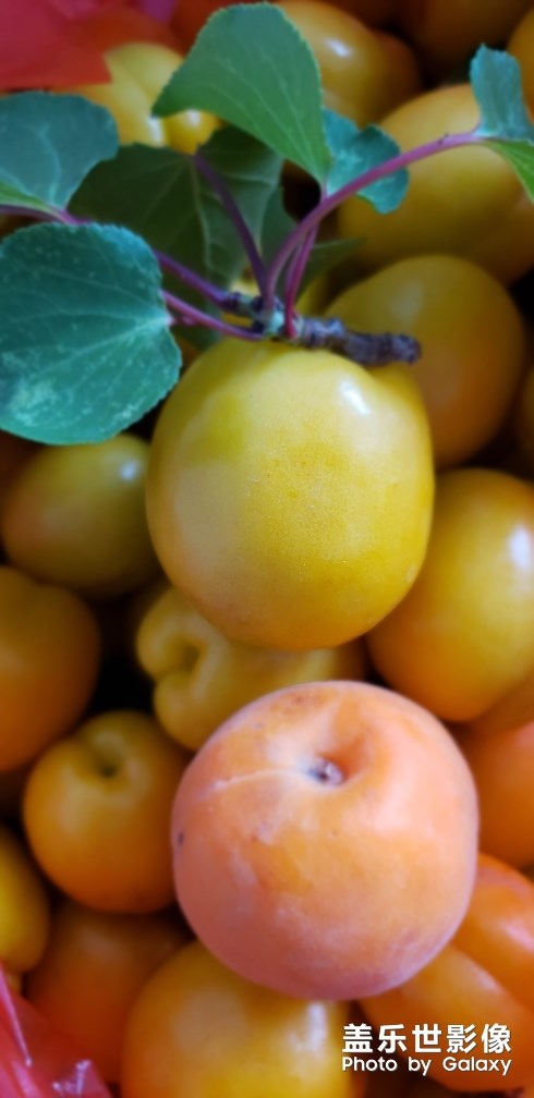 美味關(guān)系2