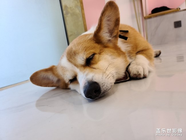 超級萌的天使基！