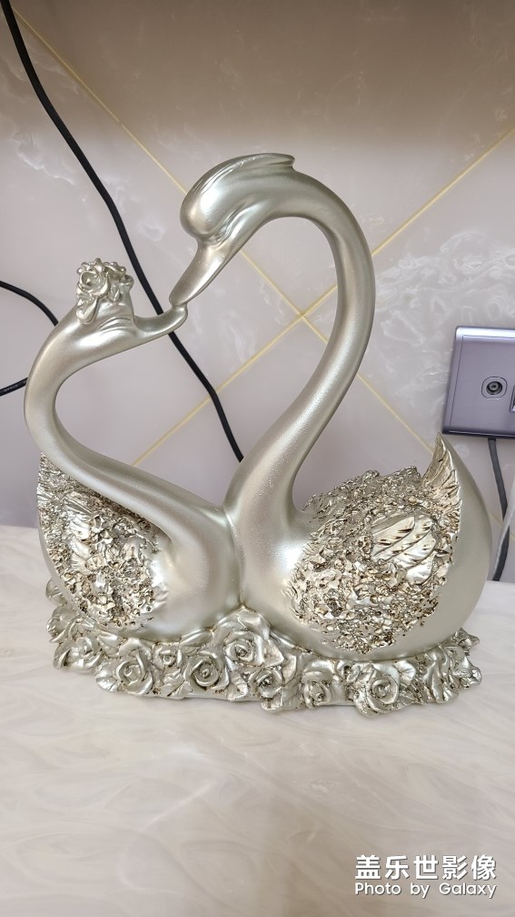 手機是不是有問題，拍照系統(tǒng)的后置。