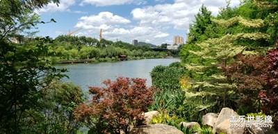 【光影生活】公園新攝