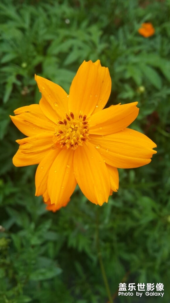 元始天尊出關(guān)