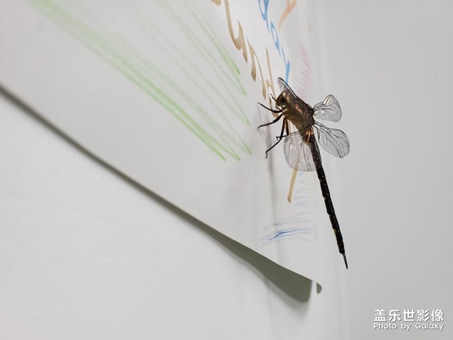 天都黑了，你怎么不回家