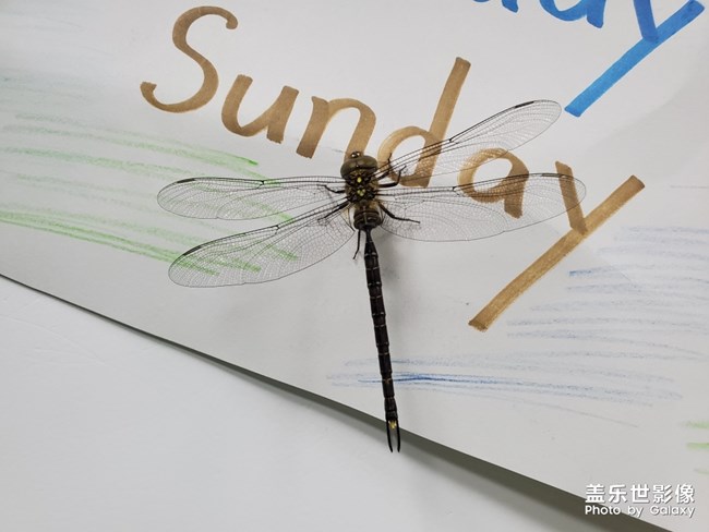 天都黑了，你怎么不回家