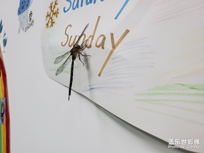 天都黑了，你怎么不回家