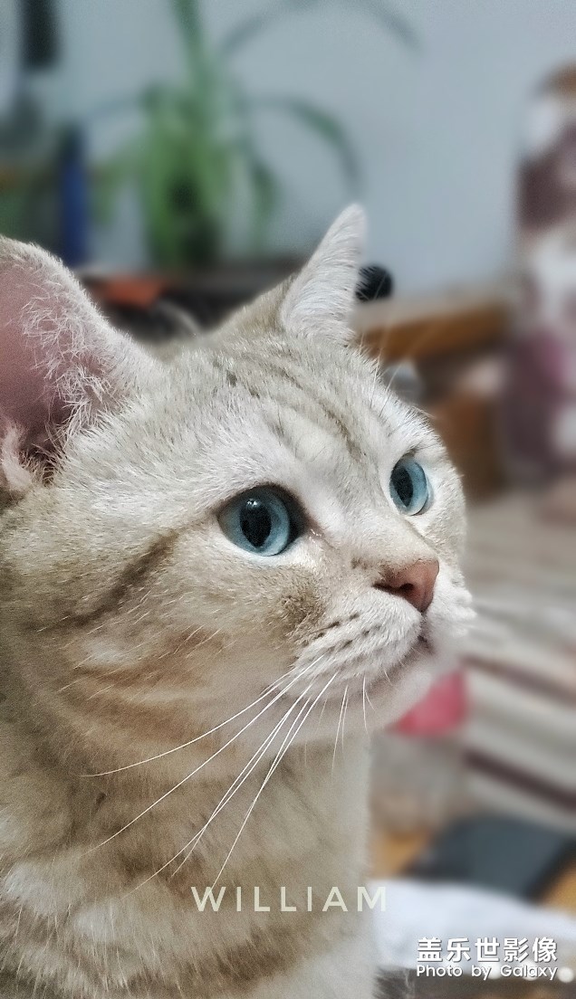 周末就要過去了?。。。? title=