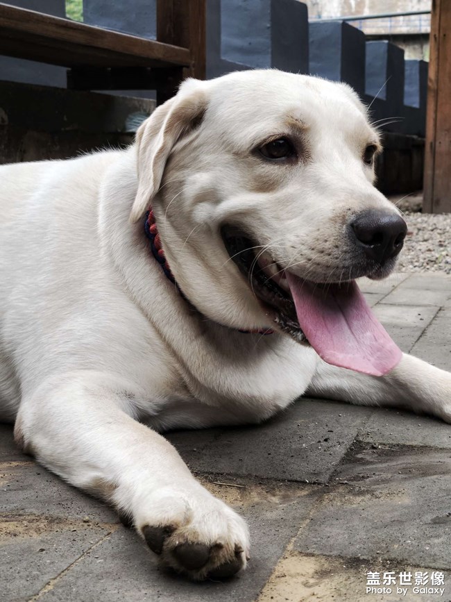 花花猥瑣的笑了