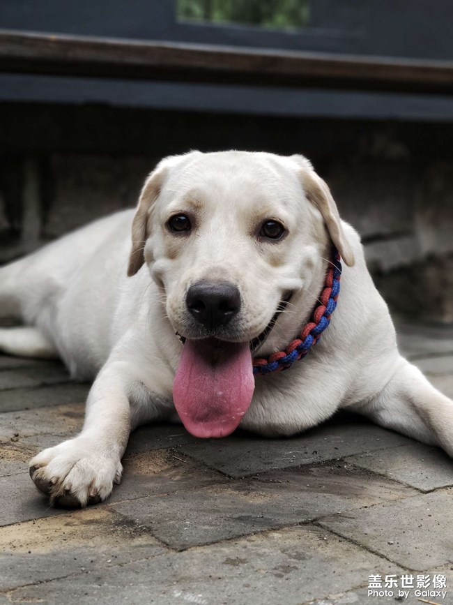 花花猥瑣的笑了
