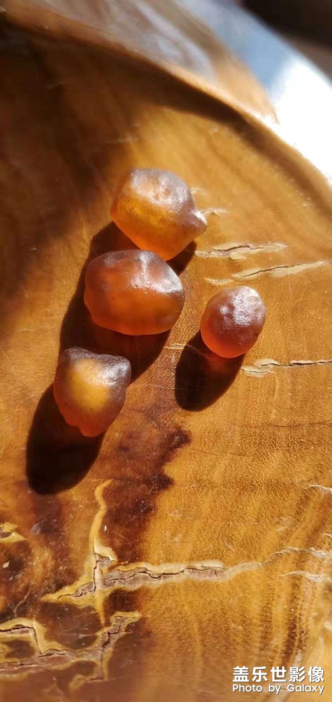 貪玩的結(jié)果