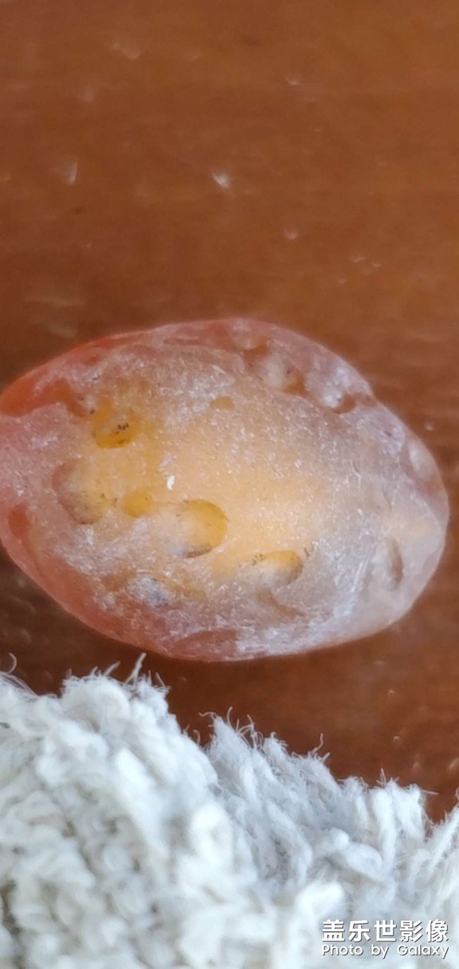 貪玩的結(jié)果