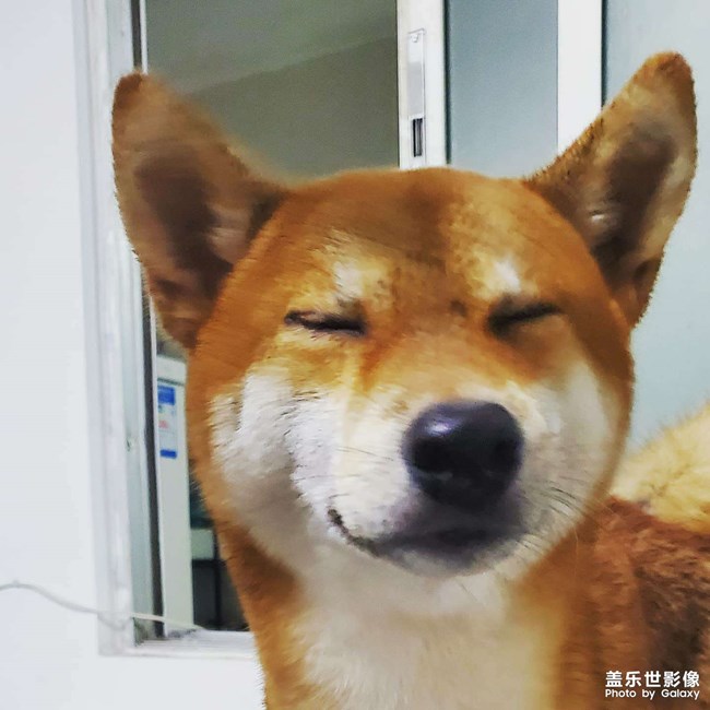 舒服的洗澡之旅