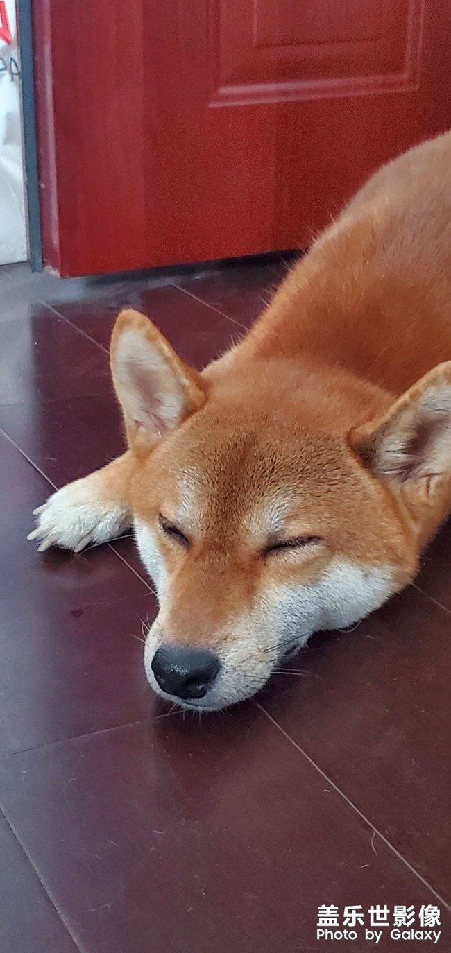 舒服的洗澡之旅