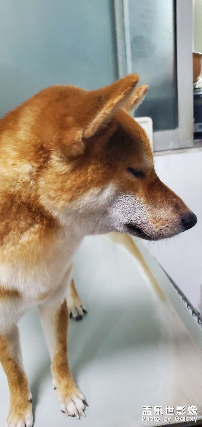 舒服的洗澡之旅