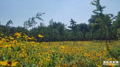 【發(fā)現(xiàn)生活發(fā)現(xiàn)美】公園隨拍