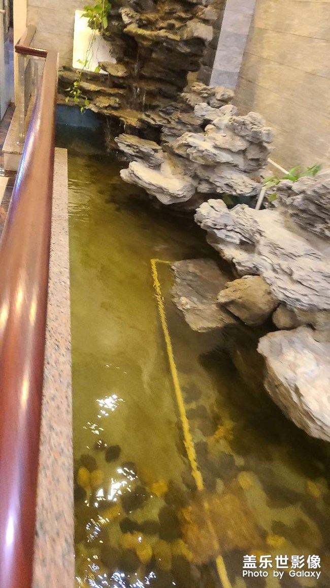 慶祝雙節(jié)，菜品很多，拍不完??門口的冬瓜就是這樣煮的