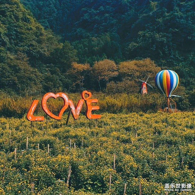 《每周星鮮事》第46期: 星粉體驗(yàn)團(tuán), 等你來參與! 《每周星鮮事》第46期: 星粉體驗(yàn)團(tuán), 等你來參與!