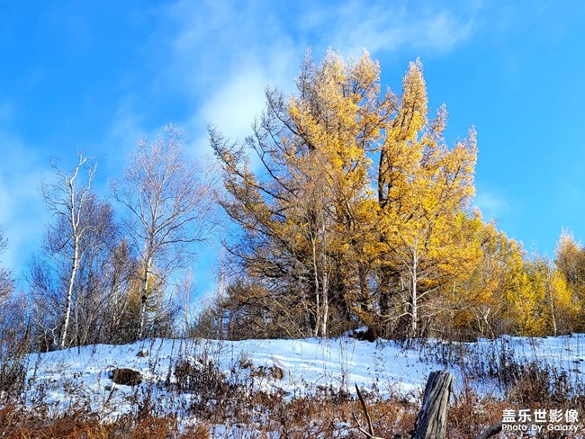 《每周星鮮事》第46期: 星粉體驗(yàn)團(tuán), 等你來參與! 《每周星鮮事》第46期: 星粉體驗(yàn)團(tuán), 等你來參與!