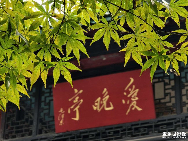 【花花世界】+ 早秋的岳麓山腳 【花花世界】+ 早秋的岳麓山腳