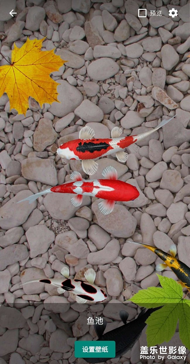 3D動態(tài)壁紙