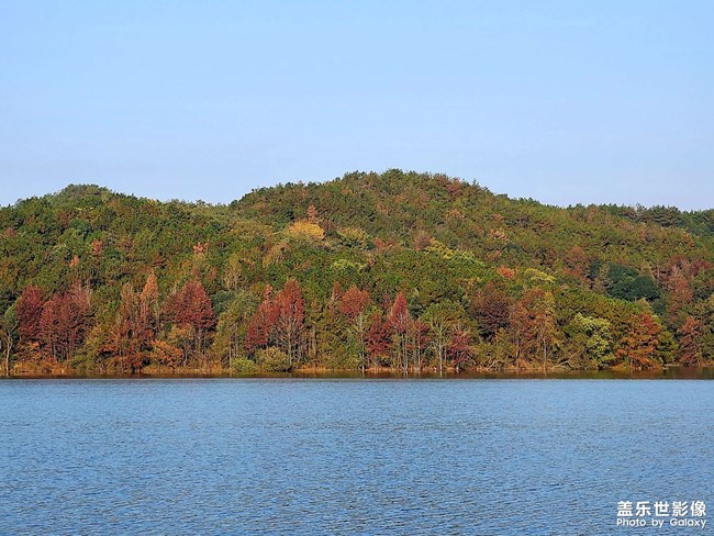 《每周星鮮事》 第49期