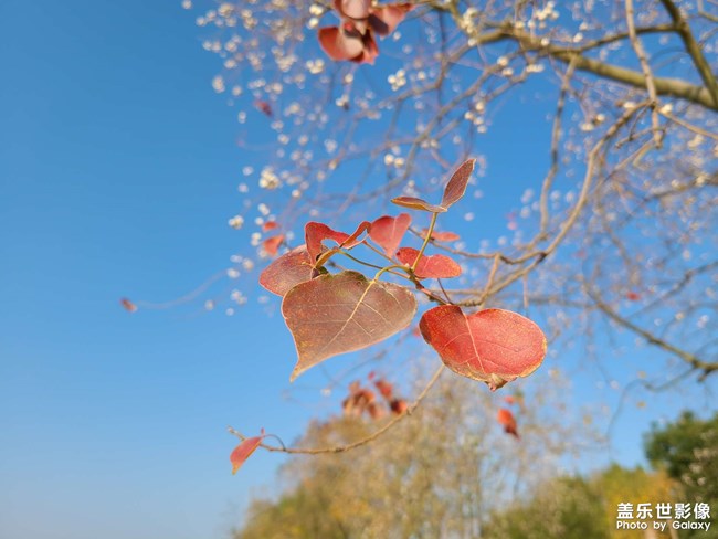 《每周星鮮事》 第49期
