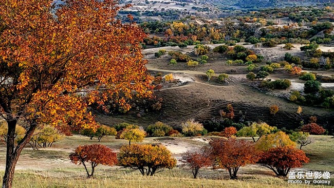 《每周星鮮事》 第49期