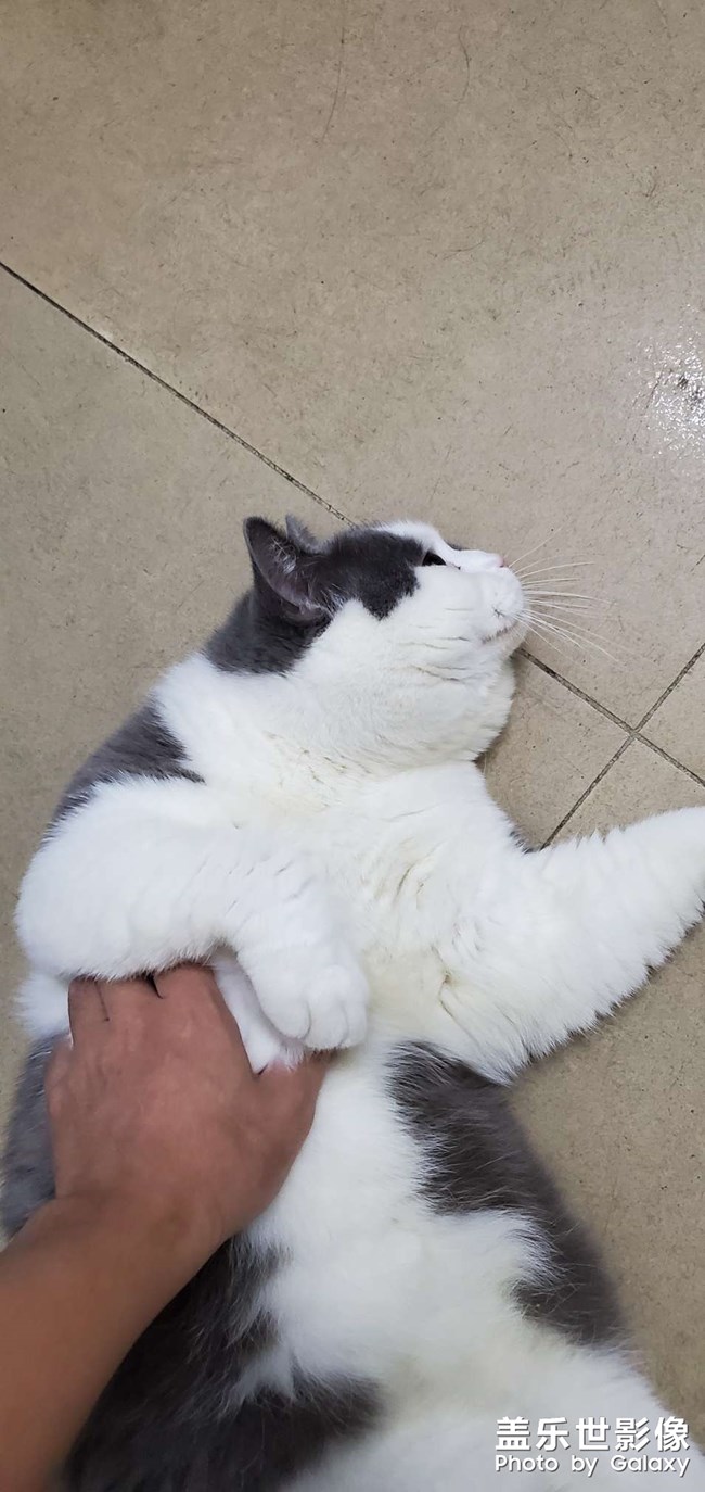 s10+原相機拍照問題