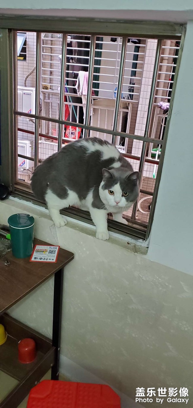 s10+原相機拍照問題