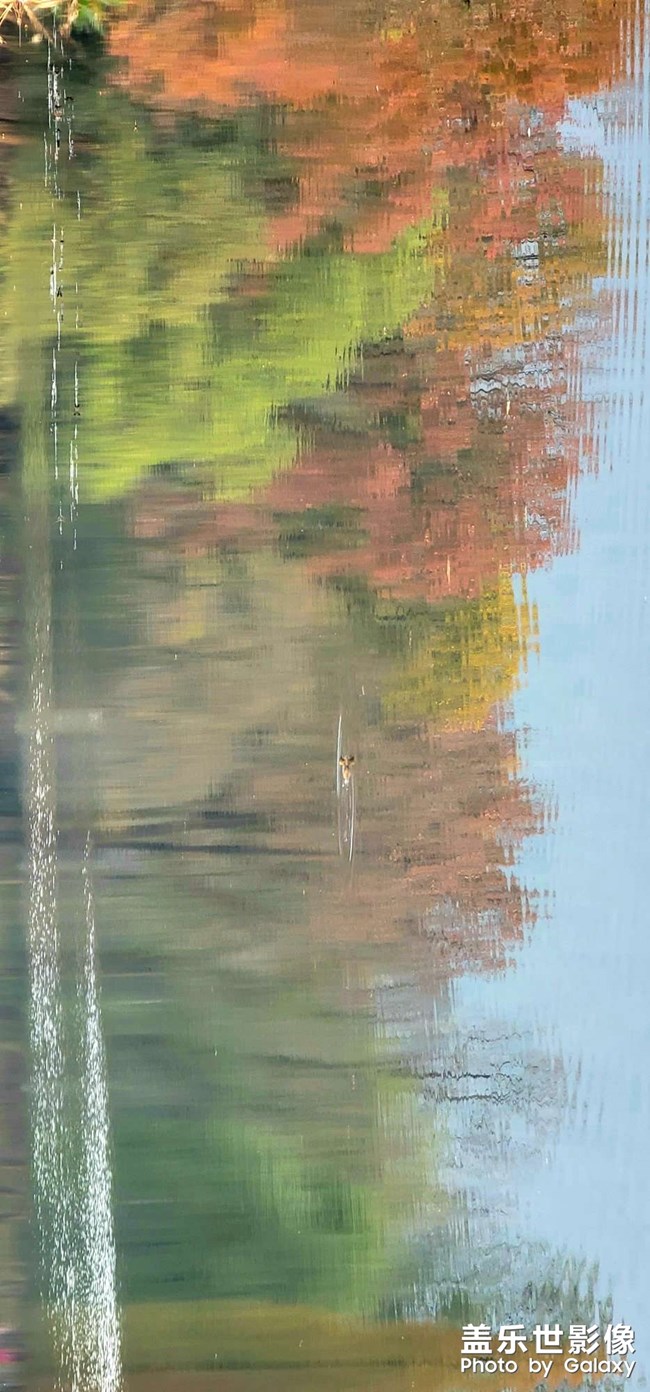 拍張照片做note20u的屏保