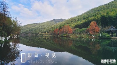 南山竹海難得游