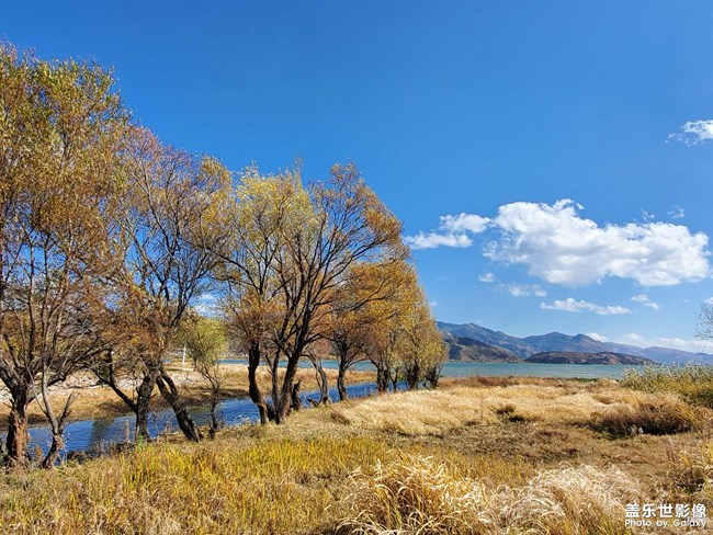 《每周星鮮事》 第52期: