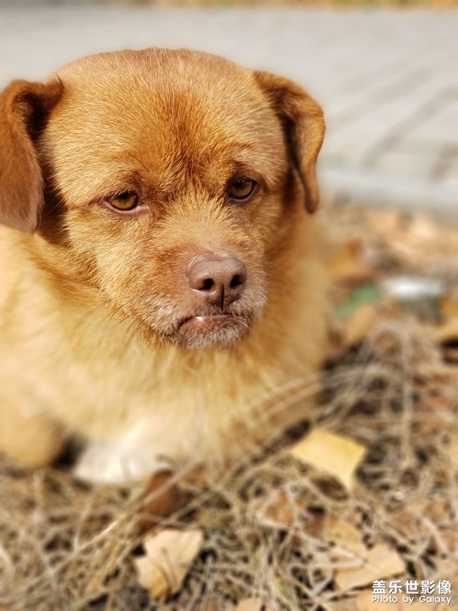 《每周星鮮事》 第52期: