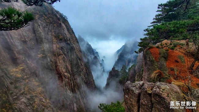 《每周星鮮事》 第52期: