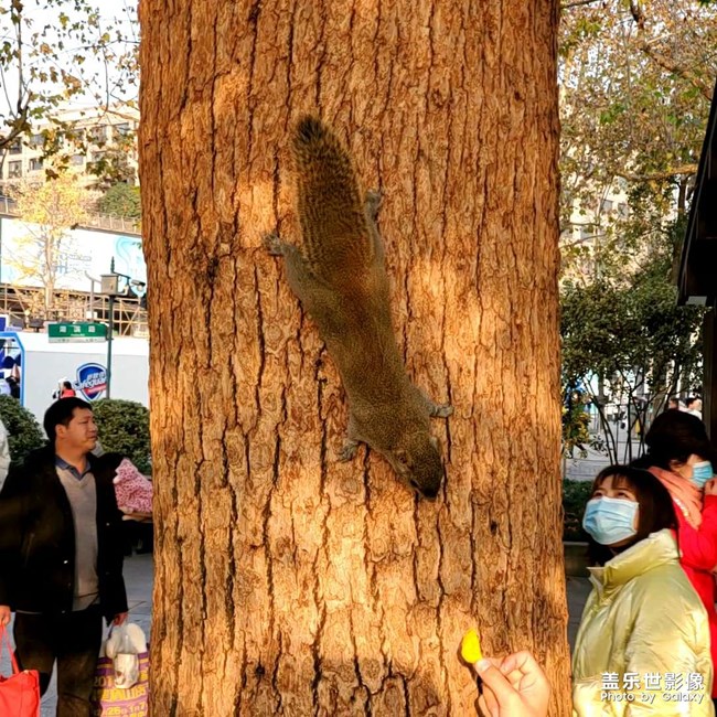 太喜歡杭州的面了??