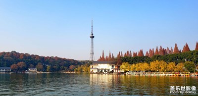 【絢麗冬景·多彩南國】