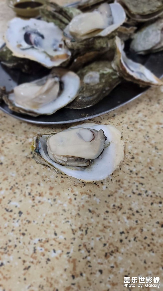 圣誕節(jié)吃蠔