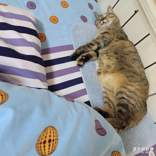 分享一只五歲的小妖精