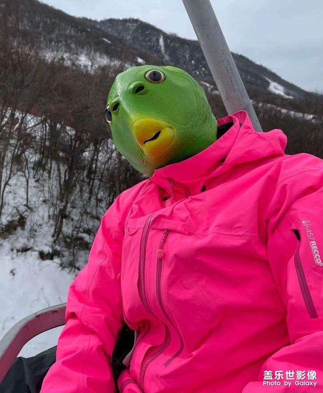 連昆明也冷的和慫一樣