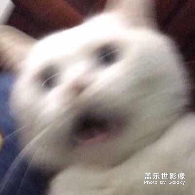 我感覺這個手機耗電挺快的