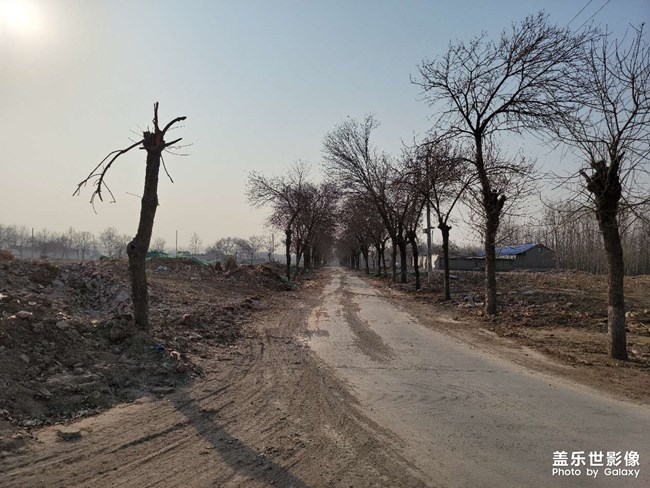 春節(jié)趕上了拆遷