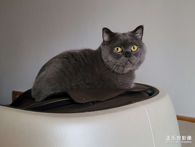 出生即退休的家伙