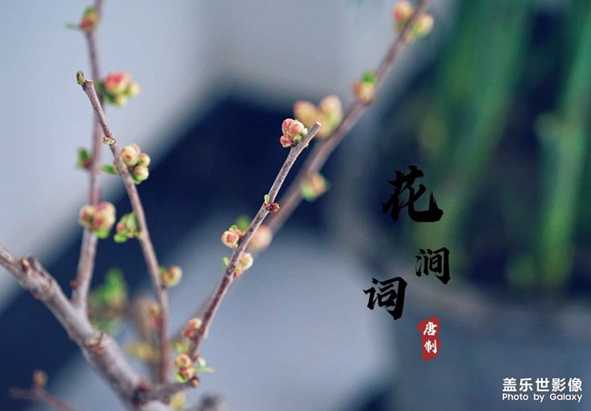 春天你好！
